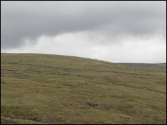 SDC13895 SDC13895