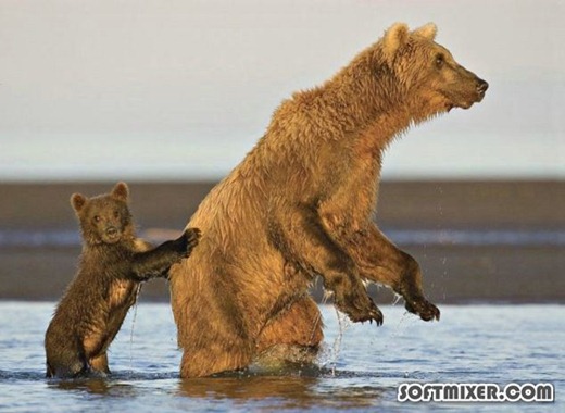 [1261480561_1260916937_1%255B2%255D.jpg]