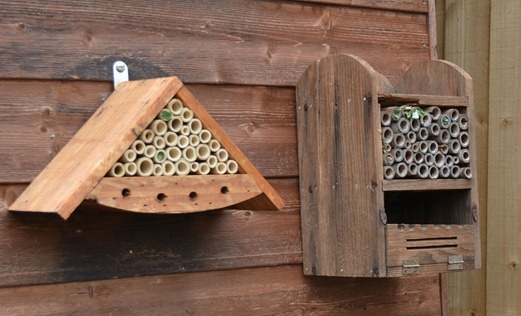 Leaf-cutter bee homes