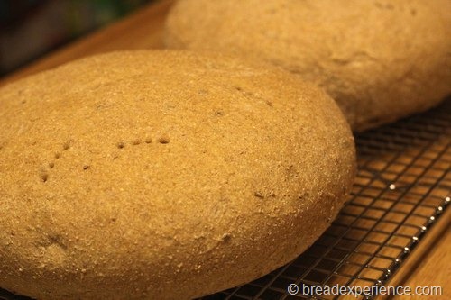 moroccan-anise-bread0016