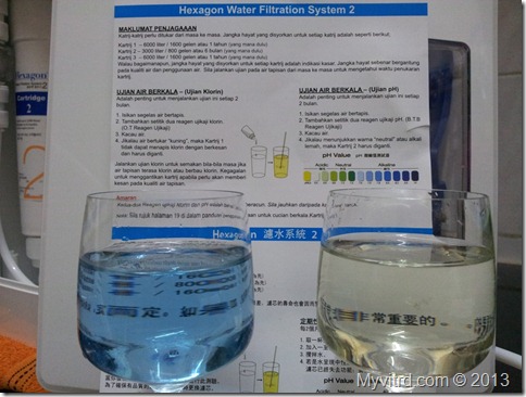 Hexagon Water Filter 18