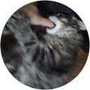 David Smith profile picture