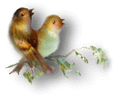 Gifs-animados-de-aves-pajaros-variados (45)