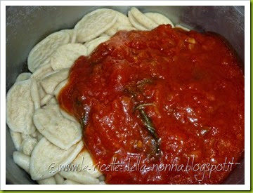 Pasta al pomodoro e basilico con salsa piccante con cipolla e 'nduja (3)