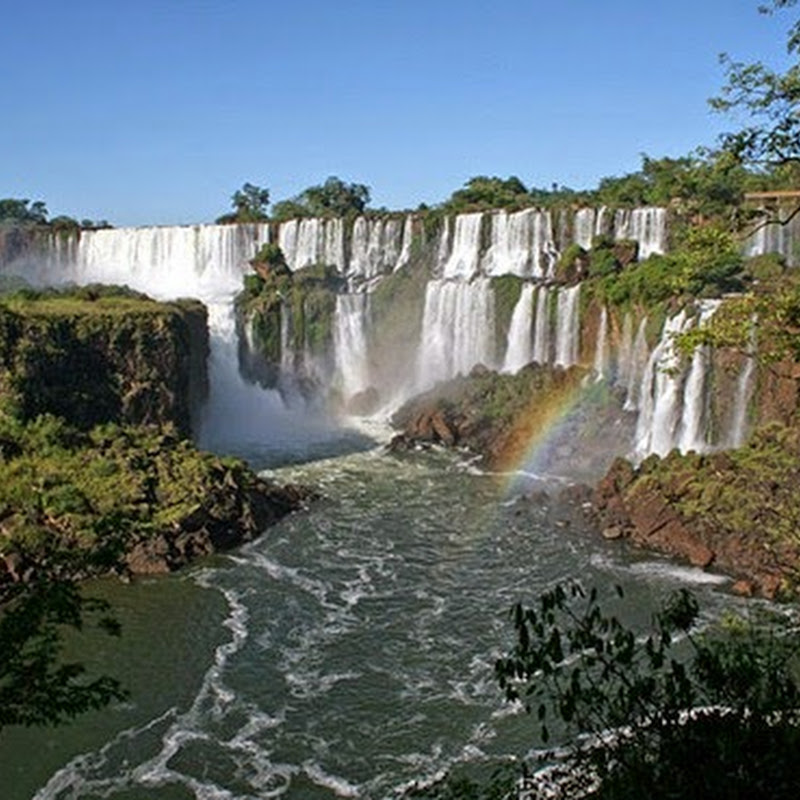 El Parque Nacional Iguazú ecosistema que alberga, preserva y protege las Cataratas del Iguazú.