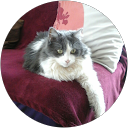 Image Google de Catherine MAZEYRAT