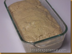 sprouted-wheat-bread 028
