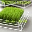 [zielony3.jpg]
