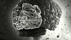 pon a prueba tu cerebro