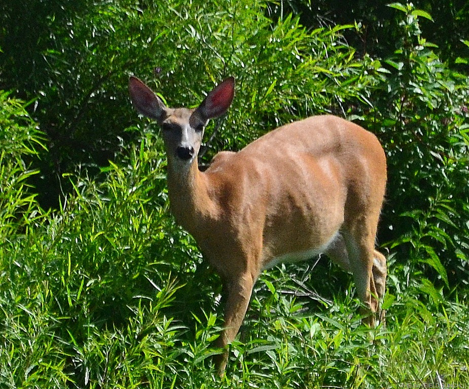 [DSC_0024%255B4%255D.jpg]