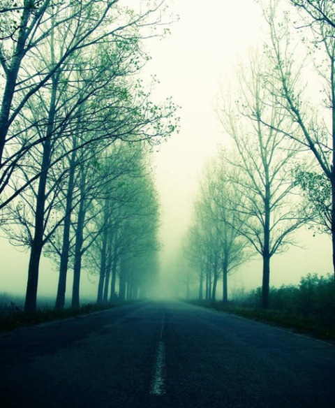 Green-Misty-Road