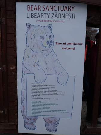LiBearty: Reguli sanctuarul de ursi