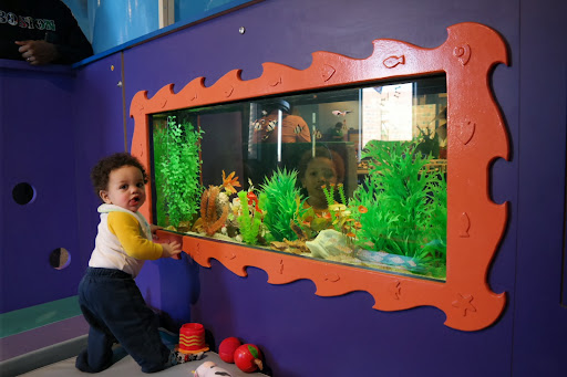 Samsung Galaxy Trend S7560 Nuevos Libres De Fabrica Cam 5mpx