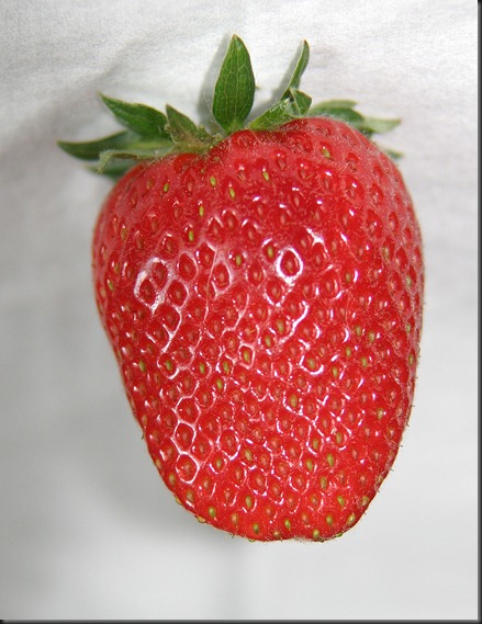 Strawberry Mmmmm