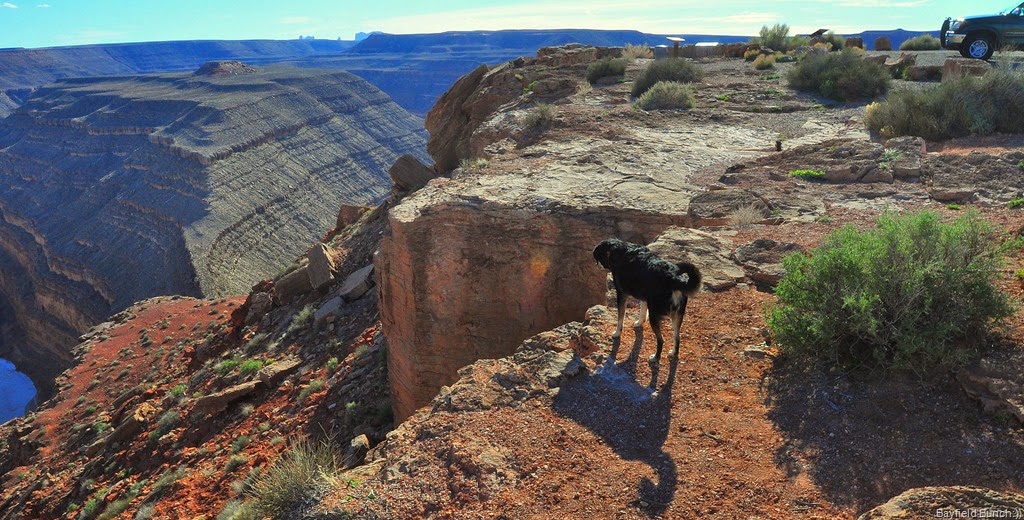 [DSC_0112%255B4%255D.jpg]