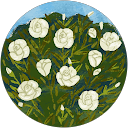 sandrine de abreu profile picture