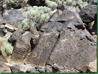 Petroglyph II 081