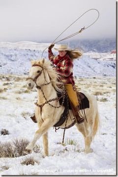 1domar caballo cowboys (7)