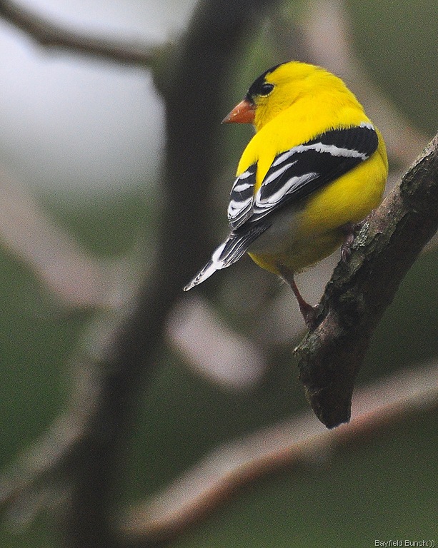 [DSC_0005%255B11%255D.jpg]