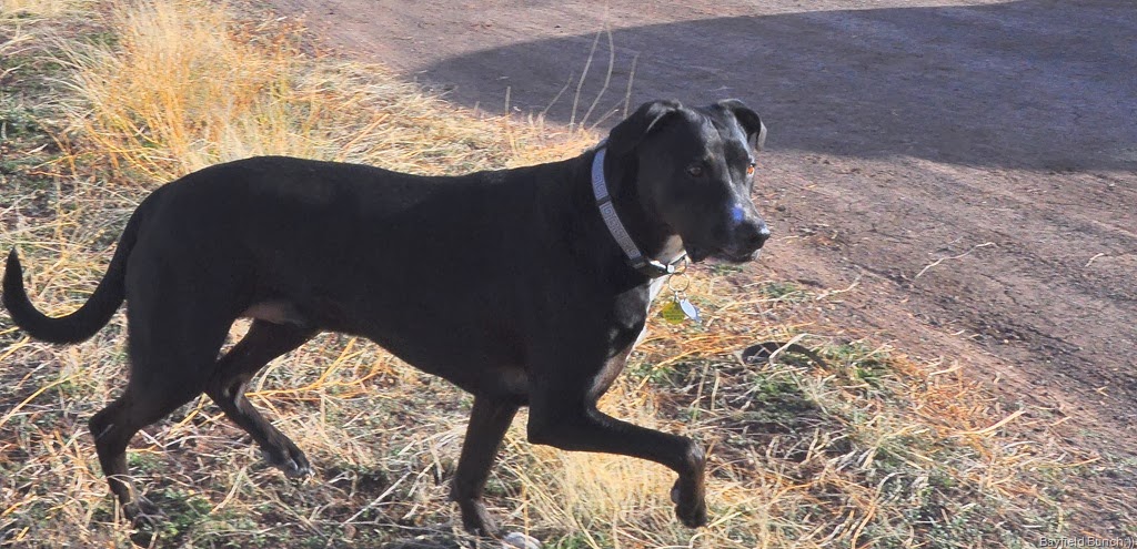 [DSC_0025%255B11%255D.jpg]