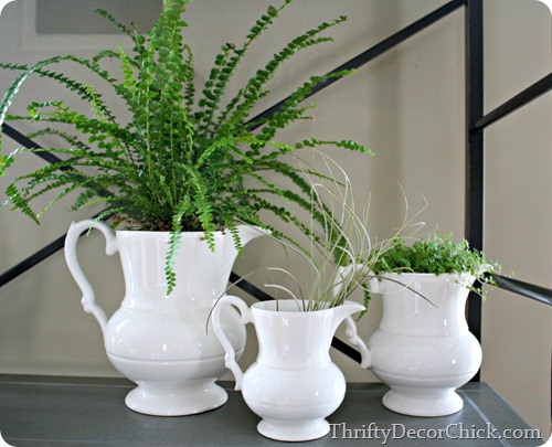 Simple decorating at @thriftydecorchick -- plants in pitchers