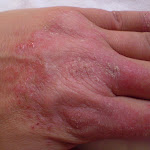 Câmera 2010 060 cópia2.jpg