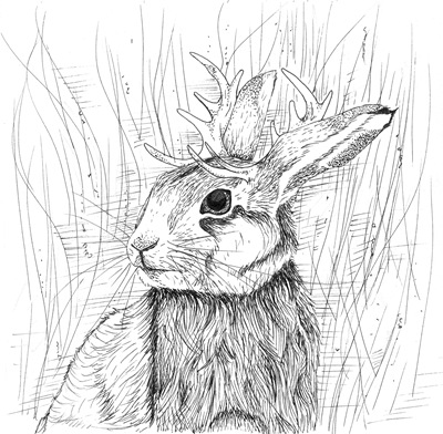 jackalope edit 2