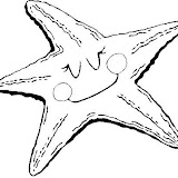 coloriage_mer_337.JPG.jpg