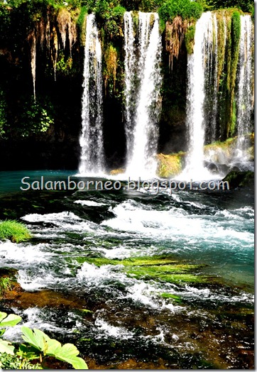 DSC_1491_Fotor DSC_1491_Fotor