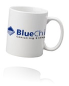Blue Chip Consulting Group