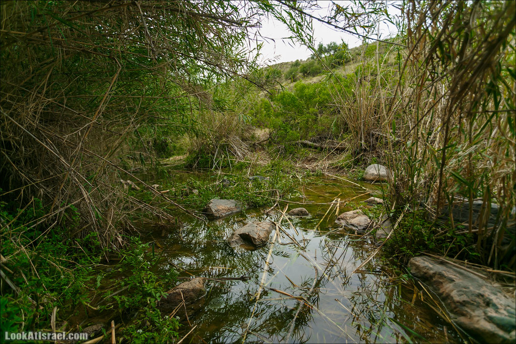 LookAtIsrael.com: Фото-блог о путешествиях по Израилю. Тель Авив, Иерусалим, Хайфа 