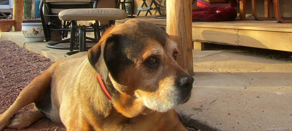 [IMG_1746%255B3%255D.jpg]