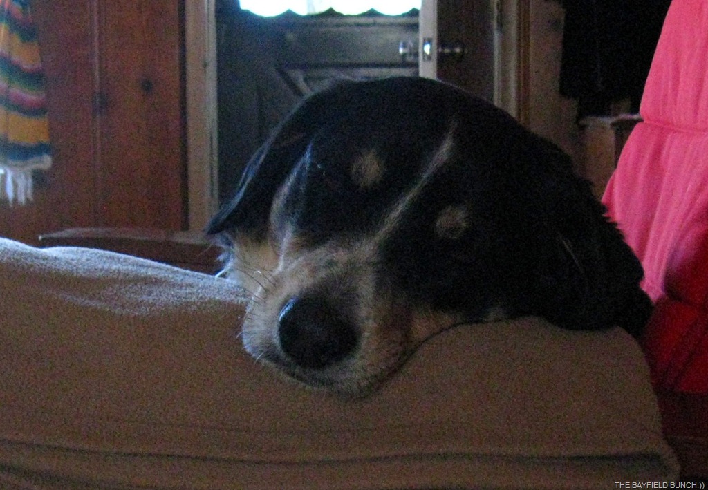 [IMG_3367%255B3%255D.jpg]