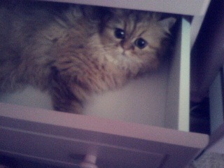 [4_1%255B2%255D.jpg]