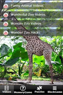 Zoo Animals Story
