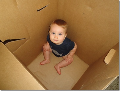 2.  Playing in the big box