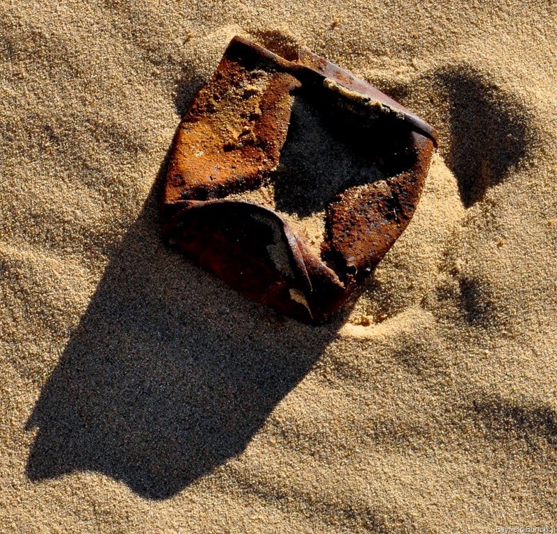 [DSC_0063%255B7%255D.jpg]