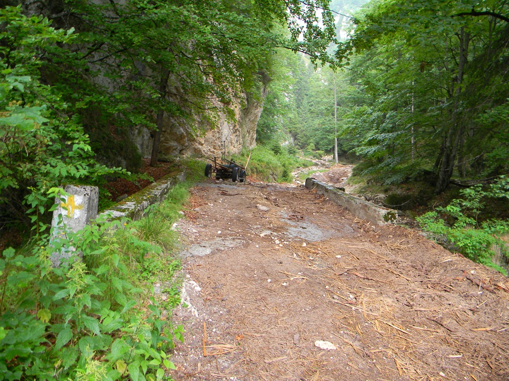 [DSCN29763.jpg]