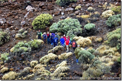 057 Cañadas del Teide 057 Cañadas del Teide