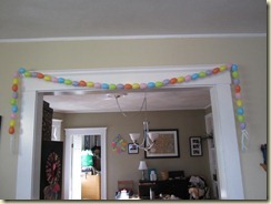 IMG_0903 IMG_0903