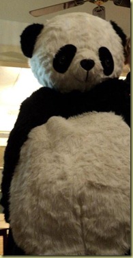 panda rowan-001