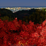 朝護孫子寺,紅葉(PK3_0117,F4.5,16mm,K3)2014yaotomi_.jpg