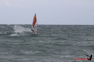 20140420_leucate_035.JPG