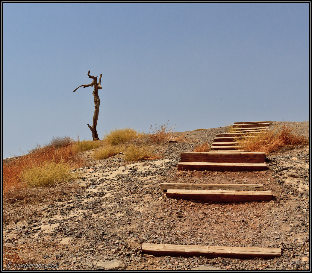 Бейт Шеан | Beit Shean |LookAtIsrael.com - Фото путешествия по Израилю