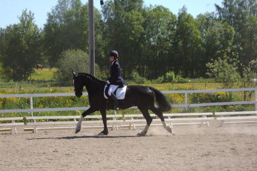 Emma Lundberg - Photo Colection