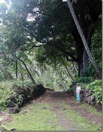 taehatuIMG_0236 taehatuIMG_0236