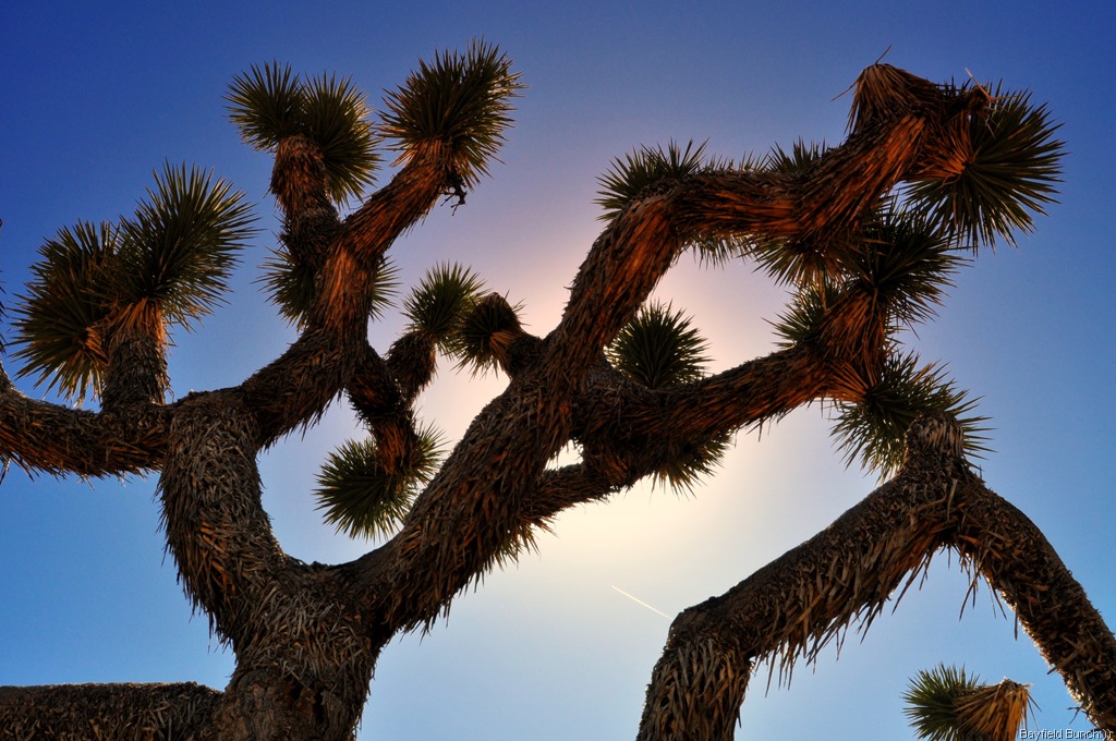 [DSC_0178%255B5%255D.jpg]