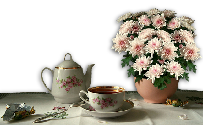 CupofTea.png