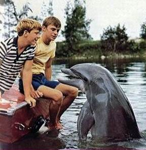 [flipper3.jpg]