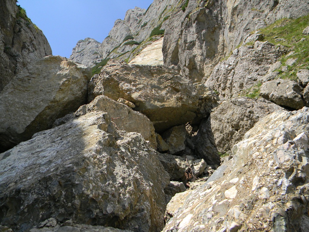 [DSCN33113.jpg]